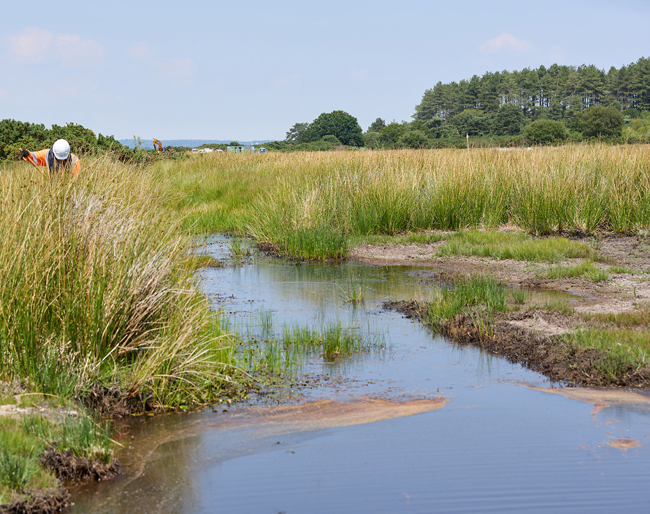 Arne Moors