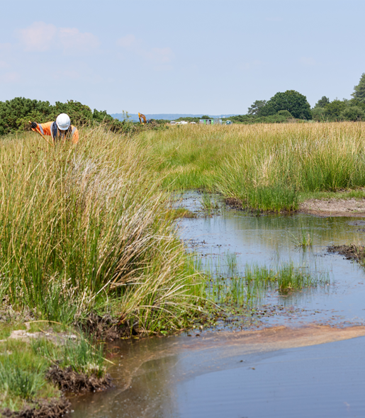 Arne Moors