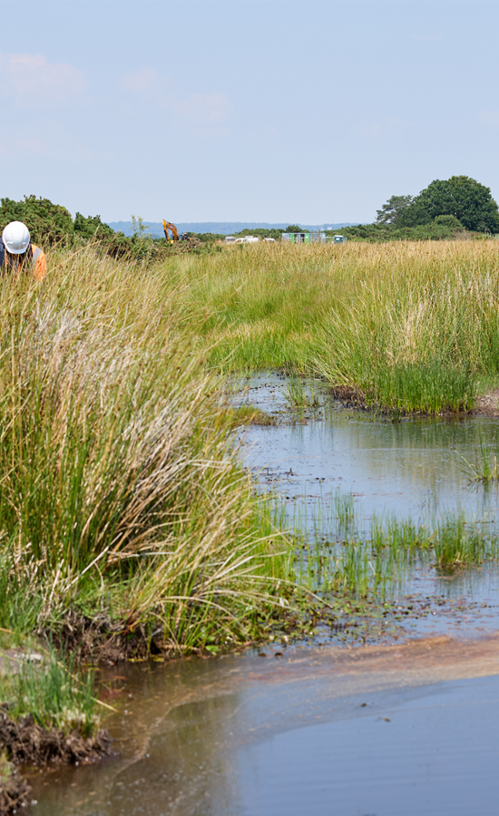 Arne Moors